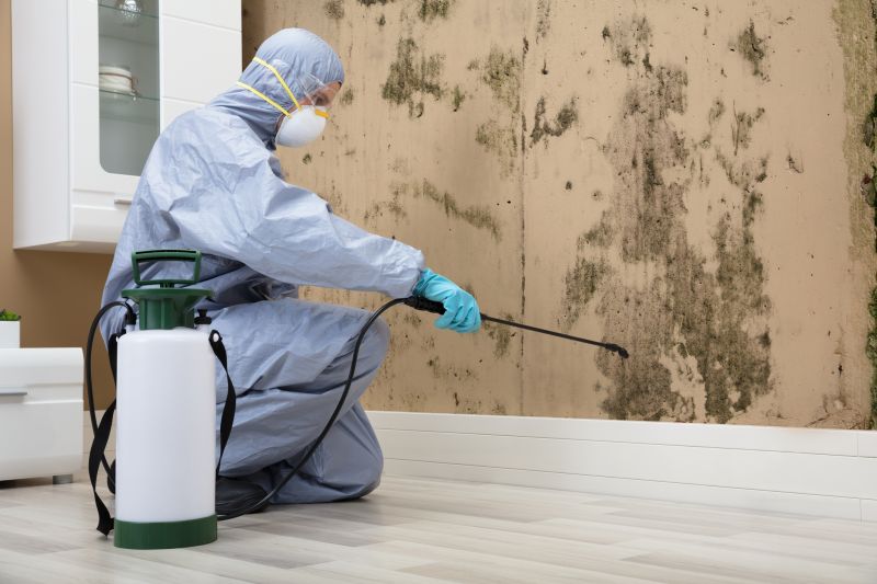 Mold Service