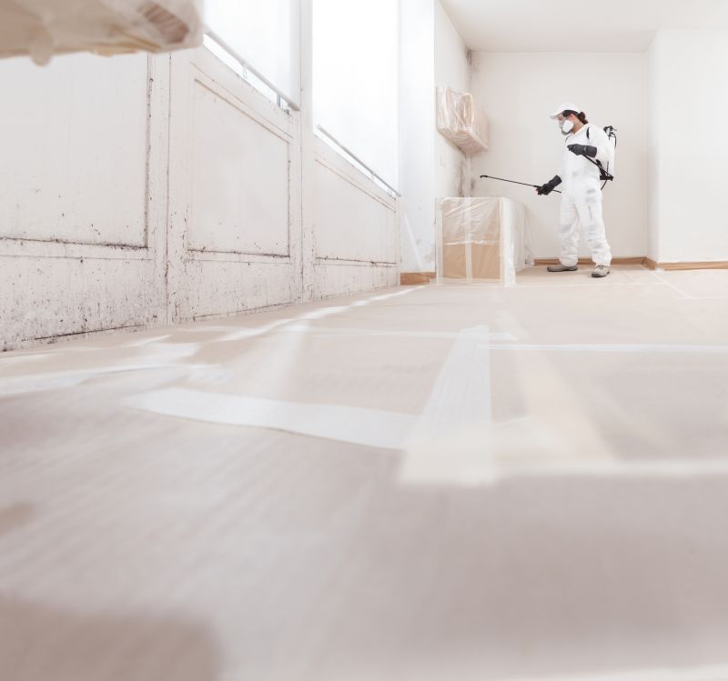 Mold Remediation Service detail