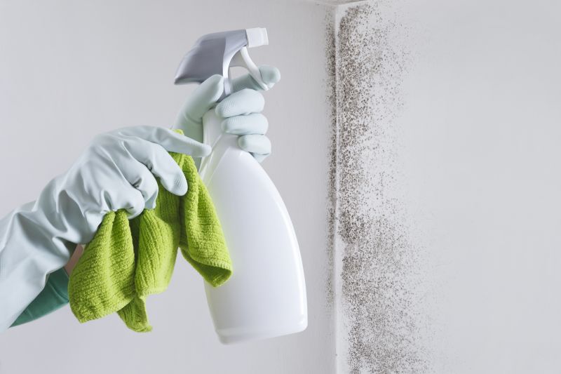 Mold Service