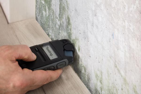 Asbestos And Mold Inspection Service