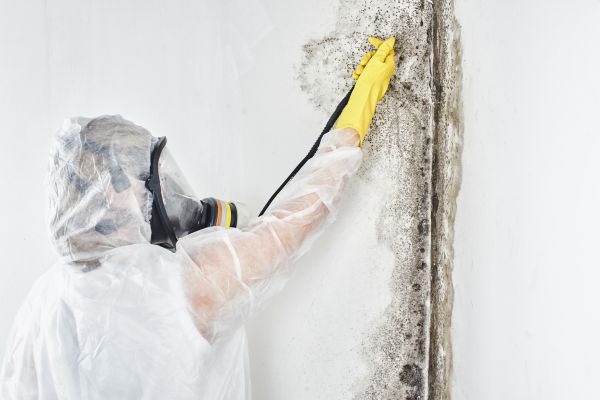 Commercial Mold Remediation