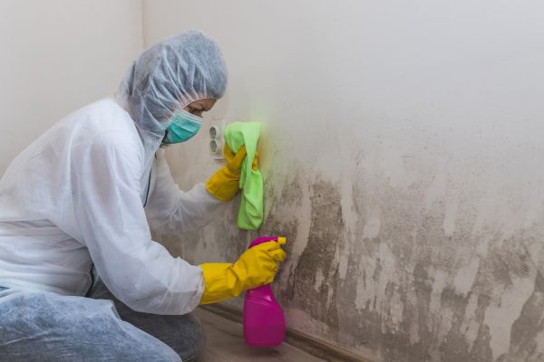 Home Mold Removal