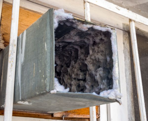 Duct Mold Cleaning