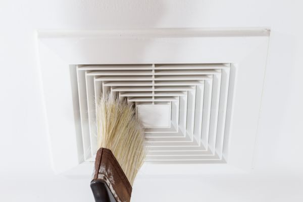 Air Duct Mold Removal